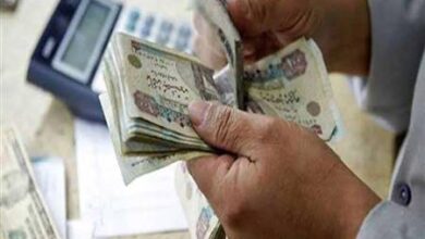 قيادي بحزب مستقبل وطن: تخفيض الفائدة انحياز لدعم الأسواق وتحفيز الإنتاج والاستثمار