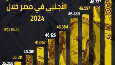 حصيلة مصر من النقد الأجنبي.. تحليل لتطور الاحتياطي وأثره على الاقتصاد خلال 5 سنوات