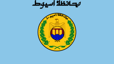 أهالي المطيعة محاصرون بسور الإسمنت.. طريق مغلق يهدد حياتهم ويشعل الخلافات