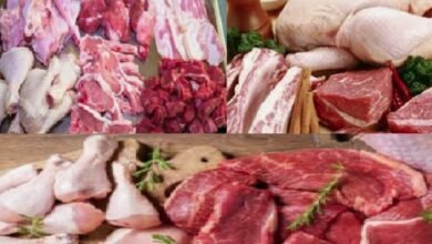 قائمة أسعار الدواجن واللحوم اليوم: الفراخ البيضاء والبلدي واللحم المفروم