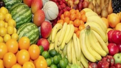 أسعار الفاكهة في مصر اليوم الأحد 28 ديسمبر 2025: استقرار ملحوظ في الأسواق أسعار الفاكهة في مصر اليوم الأحد 28 ديسمبر 2025: استقرار ملحوظ في الأسواق