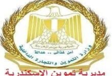 تموين الإسكندرية يشن حملة مكبرة بسوق اليوم الواحد بالعجمي لضبط الأسعار