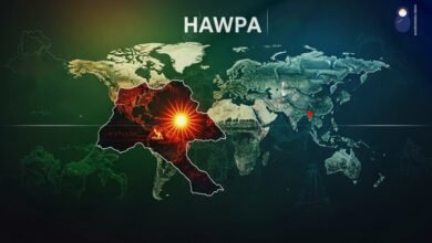 هاوپا… التنظيم الصغير الذي يثير القلق الكبير هاوپا… التنظيم الصغير الذي يثير القلق الكبير