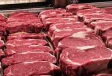 وزير الزراعة يفتح النار: “أي لحم بأقل من 200 جنيه هو سم قاتل”!