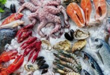 البلطي بـ 80 جنيهاً.. قائمة أسعار الأسماك والجمبري اليوم بالأسواق