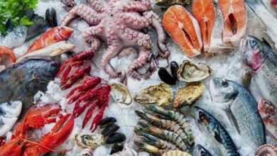 البلطي بـ 80 جنيهاً.. قائمة أسعار الأسماك والجمبري اليوم بالأسواق البلطي بـ 80 جنيهاً.. قائمة أسعار الأسماك والجمبري اليوم بالأسواق