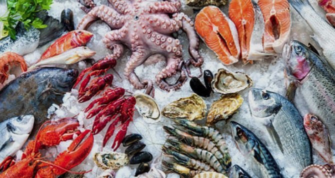 البلطي بـ 80 جنيهاً.. قائمة أسعار الأسماك والجمبري اليوم بالأسواق