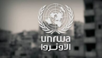 الجامعة العربية تدين قانون الكنيست بقطع الخدمات عن “الأونروا”: انتهاك صارخ للشرعية الدولية الجامعة العربية تدين قانون الكنيست بقطع الخدمات عن “الأونروا”: انتهاك صارخ للشرعية الدولية