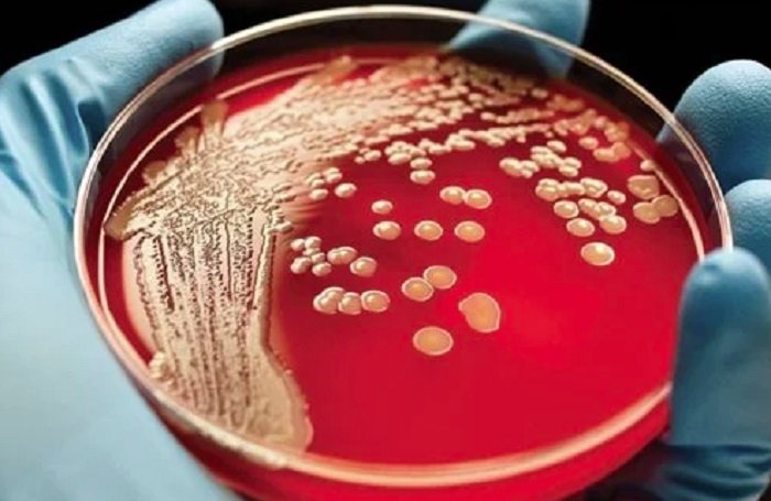 ليست للوقاية بل للعلاج.. خبير روسي يكشف أسرار اللقاح الذكي للقضاء على الخلايا السرطانية ليست للوقاية بل للعلاج.. خبير روسي يكشف أسرار اللقاح الذكي للقضاء على الخلايا السرطانية