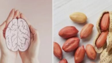 عزز صحة دماغك بحفنة فول سوداني