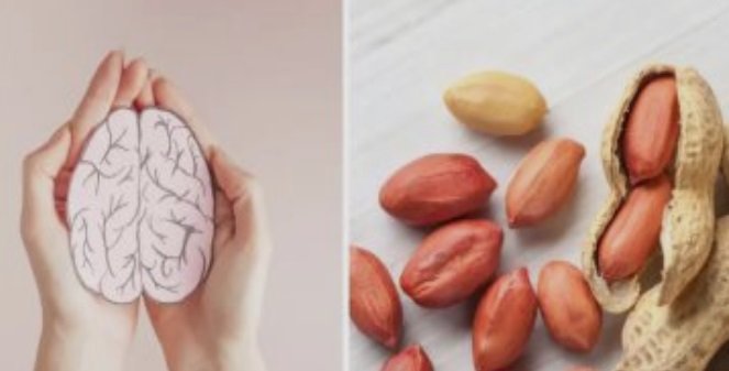 عزز صحة دماغك بحفنة فول سوداني عزز صحة دماغك بحفنة فول سوداني