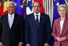 حصاد العلاقات المصرية الأوروبية في عام