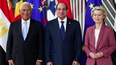 حصاد العلاقات المصرية الأوروبية في عام