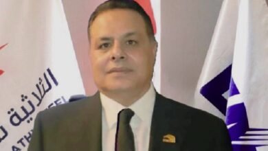 هيمن عبد الله: الصناعات المعدنية هي القاعدة الأساسية للتنمية الصناعية في مصر