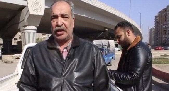 كلاب الشوارع.. التعقيم هو الحل العلمي