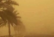 الطقس.. الأرصاد تحذر من ضباب كثيف وموجة برد