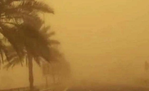 الطقس.. الأرصاد تحذر من ضباب كثيف وموجة برد