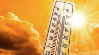 تحذير من الأرصاد بشأن طقس الأسبوع الجاري