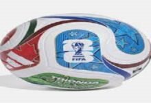 حصاد الرياضة المصرية 2026