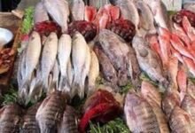 تحديث.. أسعار الأسماك اليوم الجمعة