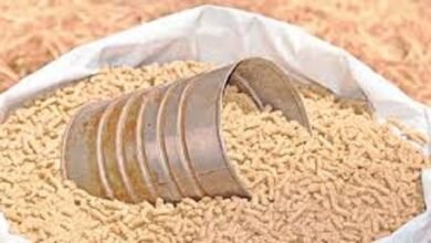 تحديث.. أسعار الأعلاف اليوم الخميس