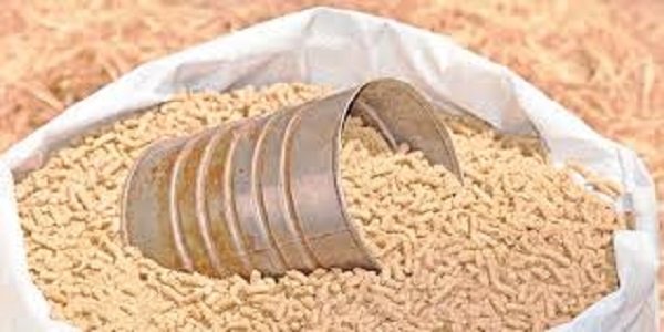 تحديث.. أسعار الأعلاف اليوم الخميس