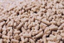 تحديث.. أسعار الأعلاف اليوم الجمعة