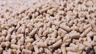 تحديث.. أسعار الأعلاف اليوم الجمعة