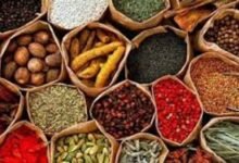 فوائد الأعشاب الطبيعية لعلاج مشاكل الهضم