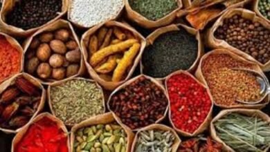 فوائد الأعشاب الطبيعية لعلاج مشاكل الهضم